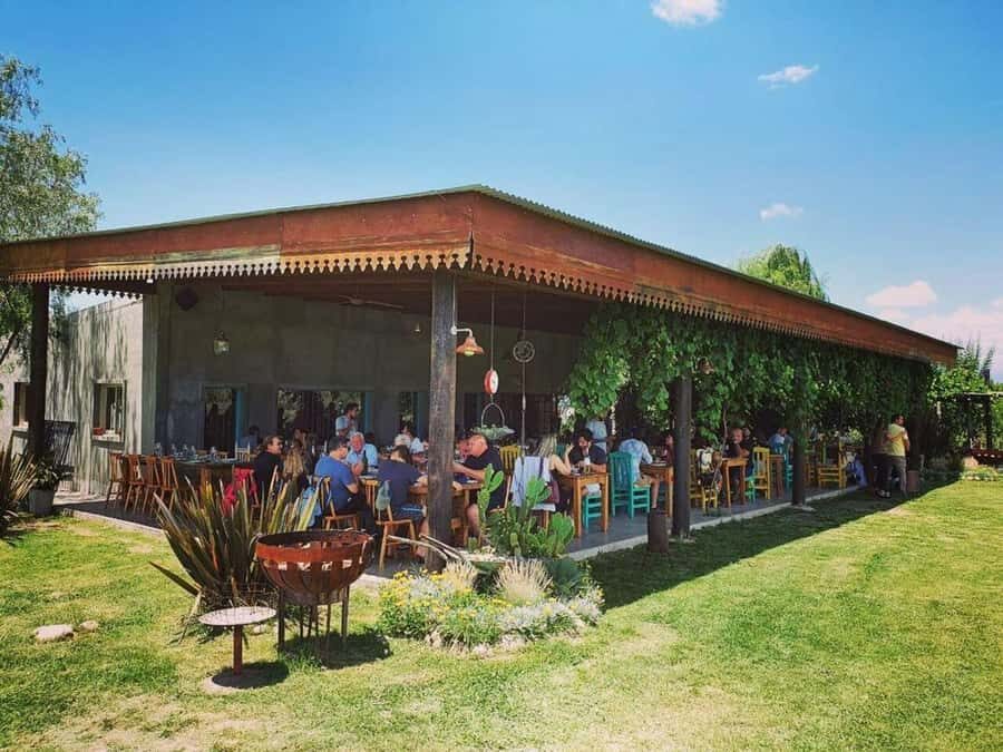 Visit & Tasting at Salentein + Lunch at La Azul - A Deep Dive into the Experience