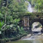 Visit the Best Spots in Tijuca Forest - Hike to Caves & Falls - What Makes This Tour Stand Out?