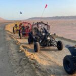 VISIT THE PARACAS NATIONAL RESERVE IN A MINIBUGGY - Detailed Breakdown of the Itinerary