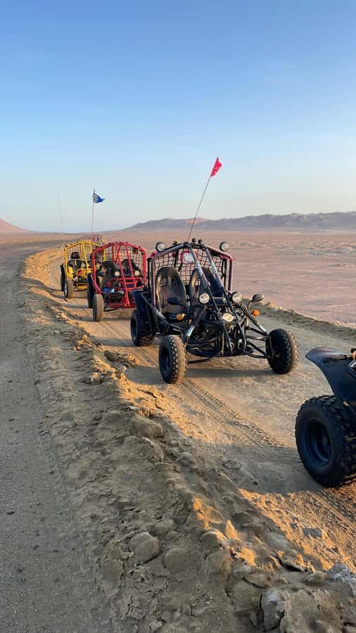 VISIT THE PARACAS NATIONAL RESERVE IN A MINIBUGGY - Detailed Breakdown of the Itinerary
