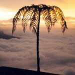 Visit to Chicaque Natural Park Private Tour from Bogotá. (8 Hrs.) - Considerations and Tips for Travelers