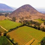 Visit to Pachacamac Archaeological Site from Lima - Who This Tour Suits Best