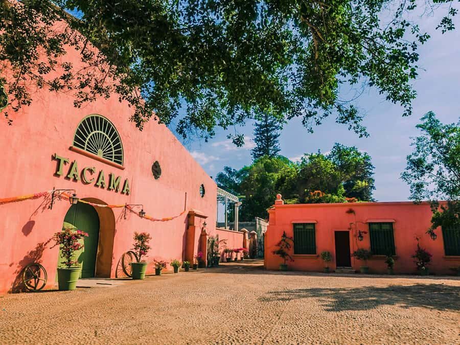 Visit to the Tacama winery + Wine and pisco tasting - Exploring the Tacama Winery: A Closer Look