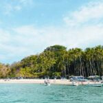 Visit Tortuga Island with Lunch from San José - Final Thoughts: Is It Worth It?