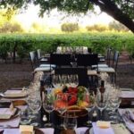 Visita Bodega Huarpe + Almuerzo Bodega Lagarde. Transfer privado - What Makes This Tour Stand Out?