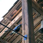 Viu Manent and Montes Winery, Colchagua Valley from semi-private - The Scenic and Cultural Appeal