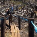 Volcano Mombacho Adventure in the Cloud Forest & Apoyo Lake - The Itinerary – A Well-Structured Day of Discovery