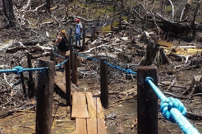 Volcano Mombacho Adventure in the Cloud Forest & Apoyo Lake - The Itinerary – A Well-Structured Day of Discovery