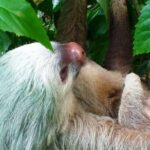 Volcano, Waterfalls, Zipline, Hot Springs Full Day Tour - What the Tour Means for You