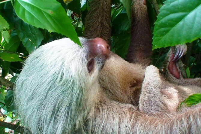 Volcano, Waterfalls, Zipline, Hot Springs Full Day Tour - What the Tour Means for You