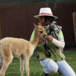 Voluntering at the Cochahuasi Sanctuary - Who should consider this experience?