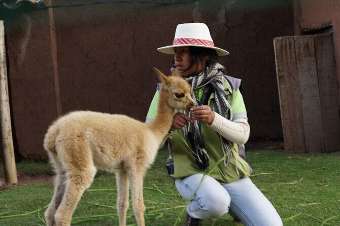 Voluntering at the Cochahuasi Sanctuary - Who should consider this experience?