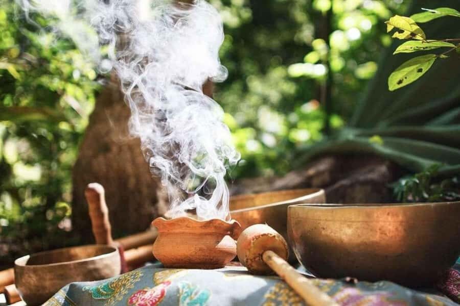 Wachuma Retreat+Ayahuasca+5 ancestral techniques-Intermediat - Value and Practicality