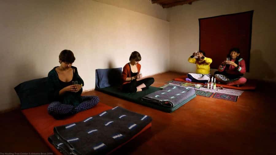 Wachuma (San Pedro) and Ayahuasca Retreat 4 Days - Basic - What’s Included and Why It Matters