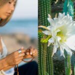 Wachuma (San Pedro) and Ayahuasca Retreats, 7D - Shared - Who Should Consider This Retreat?