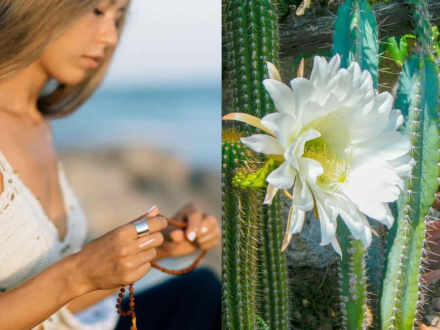 Wachuma (San Pedro) and Ayahuasca Retreats, 7D - Shared - Who Should Consider This Retreat?