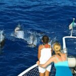 Waitukubuli Dolphin and Whale Watch in Dominica - The Sum Up