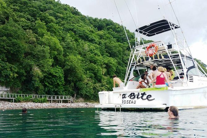 Waitukubuli Volcano Snorkeling - Final Thoughts: Who Will Love This Tour?