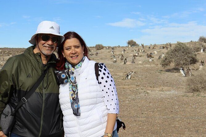 Walk with the Penguins- EARLY BOOKING -20% OFF Cruise Passengers - FAQ