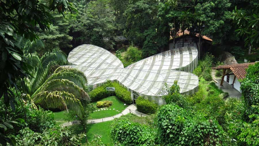 Walking tour José Celestino Mutis Botanical Garden 3 hrs - Final Thoughts: Is This Tour Right for You?