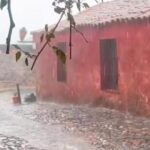 Walking Tour to Colonia del Sacramento, english, portuguese german - Who Should Consider This Tour?