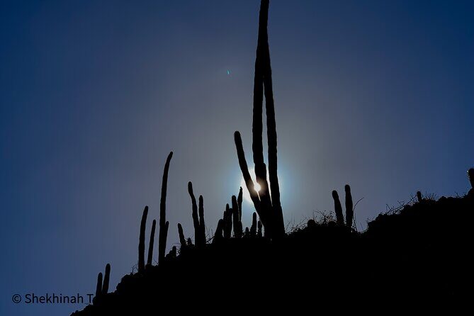 Washington Park Tour with Local Guide on Bonaire - Authenticities and Reviews