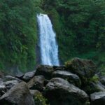 Waterfall And Champagne Reef Adventure - Who Will Love This Tour?