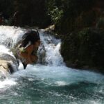 WATERFALL- Blue Hole Waterfall Adventure Swim and Rope Swing - FAQs
