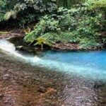 Waterfall & Blue Lagoon: Full-Day Tour in Rio Celeste Costa Rica - Authentic Wildlife & Nature Encounters