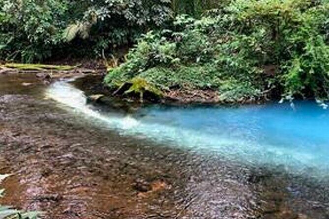 Waterfall & Blue Lagoon: Full-Day Tour in Rio Celeste Costa Rica - Authentic Wildlife & Nature Encounters