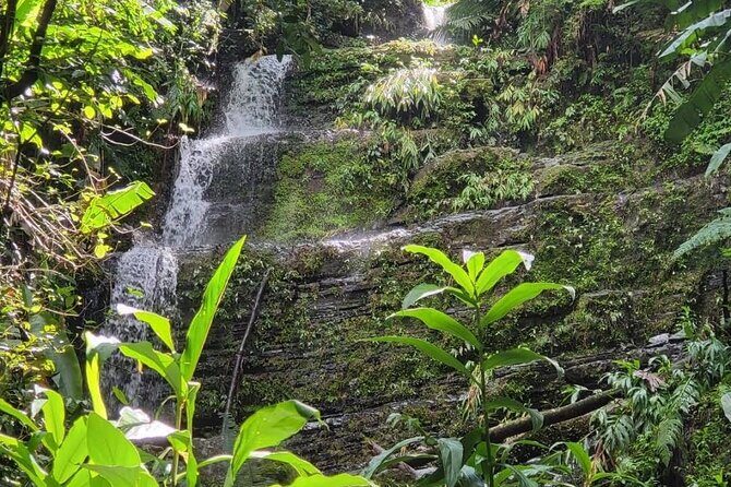 Waterfall Curtain Hidden Rainforest Gem Las Cascadas Delicias - Exploring the Experience in Detail