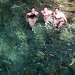 Waterfall Discovery - Who This Tour Is Best For