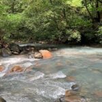Waterfall Discovery & Zipline Adventure - The Traditional Costa Rican Lunch