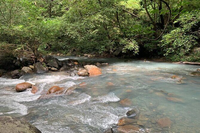 Waterfall Discovery & Zipline Adventure - The Traditional Costa Rican Lunch