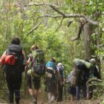 Waterfall Hike - An In-Depth Look at the Waterfall Hike Experience