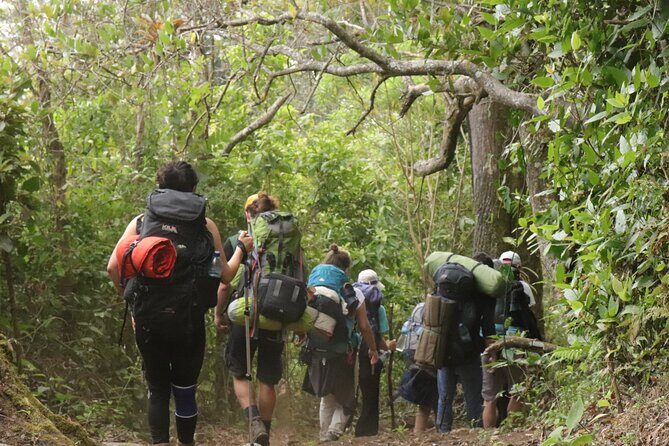 Waterfall Hike - An In-Depth Look at the Waterfall Hike Experience