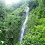 Waterfall, sloth expedition, frogs Blue River also in Costa Rica - Who Will Love This Tour?