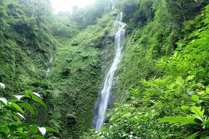 Waterfall, sloth expedition, frogs Blue River also in Costa Rica - Who Will Love This Tour?