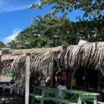 Waterfalls, Sulphur Spa and Black Sand Beach Tour from Dominica - Key Points