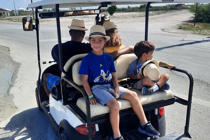 Watkins UTV American Golf Cart Rentals - Who Should Consider This Rental?