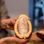 Weaving Peace: Taste and understand what is happening in Colombia - Final Thoughts