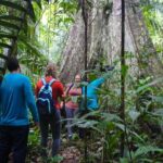 Welcome To the Jungle 5D/4N At Tapiri Rio Negro Lodge - Why This Tour Offers Great Value