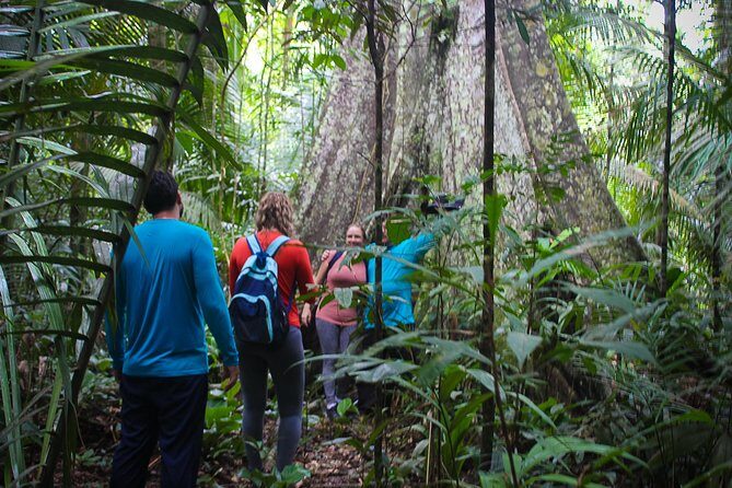 Welcome To the Jungle 5D/4N At Tapiri Rio Negro Lodge - Why This Tour Offers Great Value