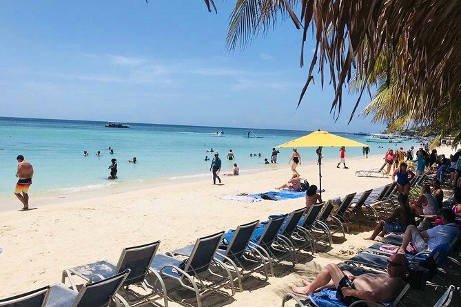 West Bay Beach Break / Monkey and Sloth Sanctuary - Who Should Consider This Tour?