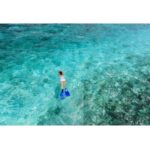 West End Bahamas: Guided Snorkeling Tour - What Makes This Tour Stand Out?
