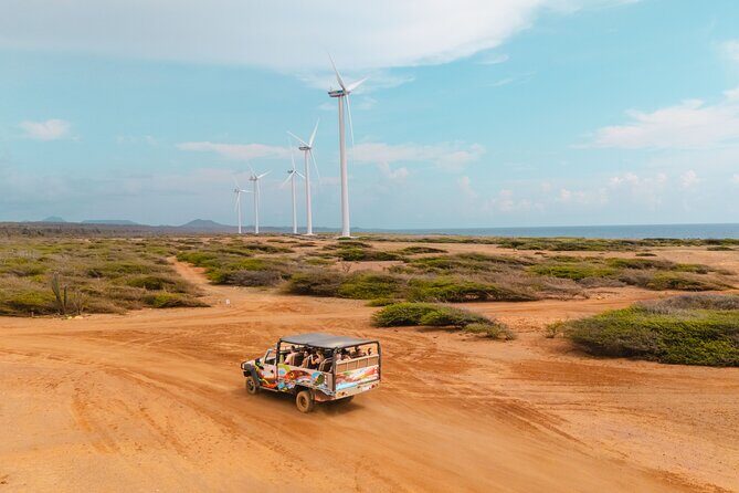 West Island & Beach Safari - Final Words: Who Is This Tour Perfect For?