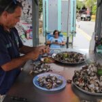 West Side Experience Puerto Rico Day Tour - Final Words