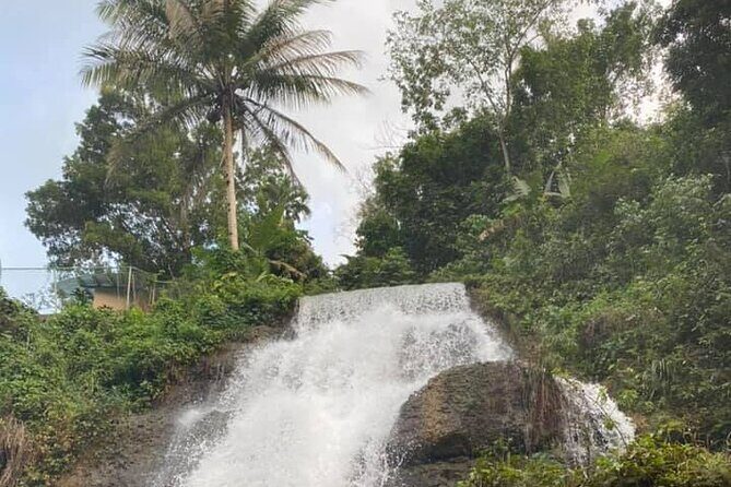 Western Island Full Day Tour - Final Thoughts