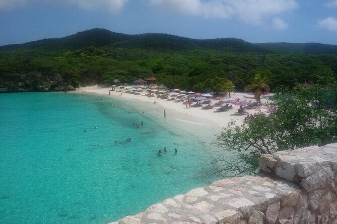 Western snorkel & swim Trip - A Deep Dive into the Curacao Western Snorkel & Swim Trip