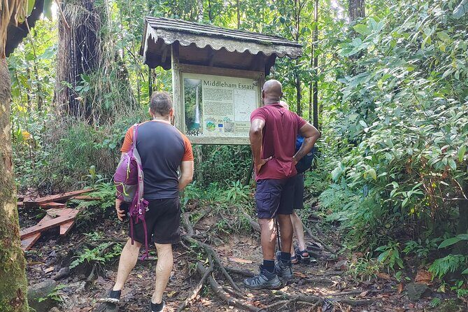 Wet and Rugged Dominica - Practical Details and What to Expect